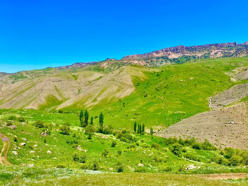 Beréderya Fotoğrafı