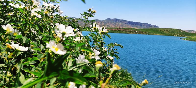 Beréderya Fotoğrafı